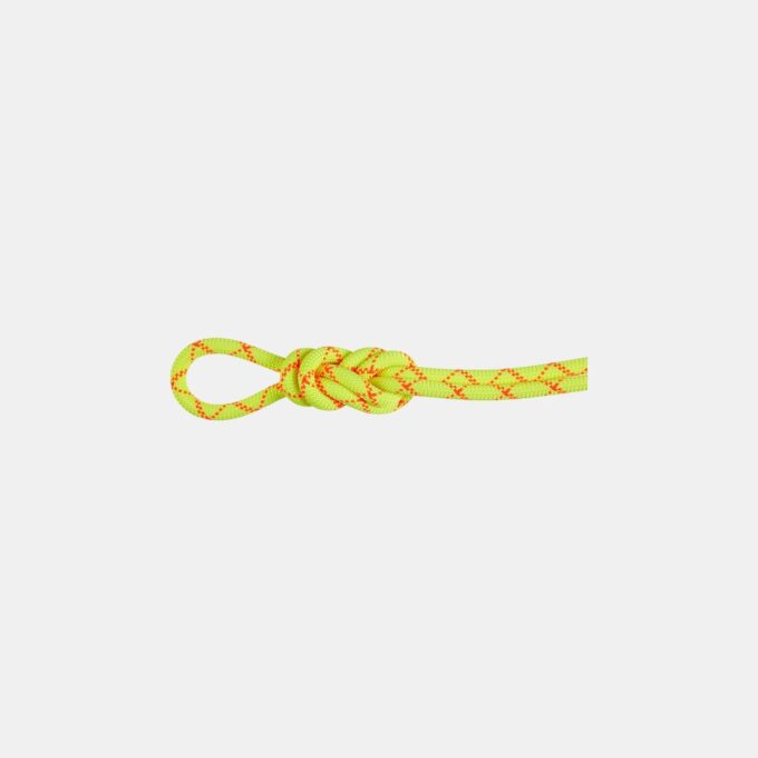 9.5 Alpine Core Protect torrrep 60m 9.5 Alpine Core Protect torrrep 60m