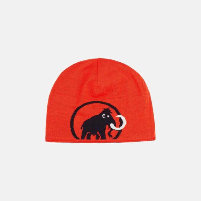 Mammut Logo Mössa Mammut Logo Mössa